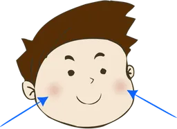 cheeks.webp